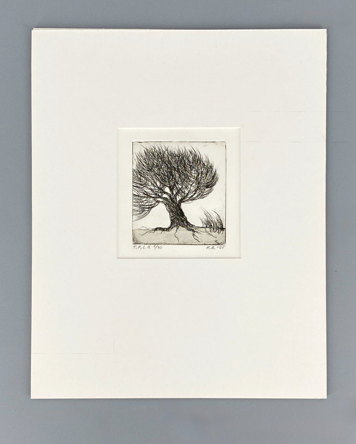 *DRUCKGRAFIK RADIERUNG KIRSTI BREHME BAUM 1998 FINNISCH LIMITIERT