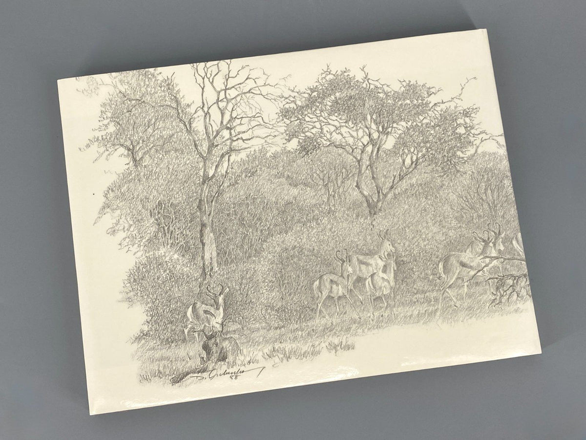 *BUCH DIETER ASCHENBORN NATURZEICHNUNGEN AFRIKA TIERE GAMSBERG