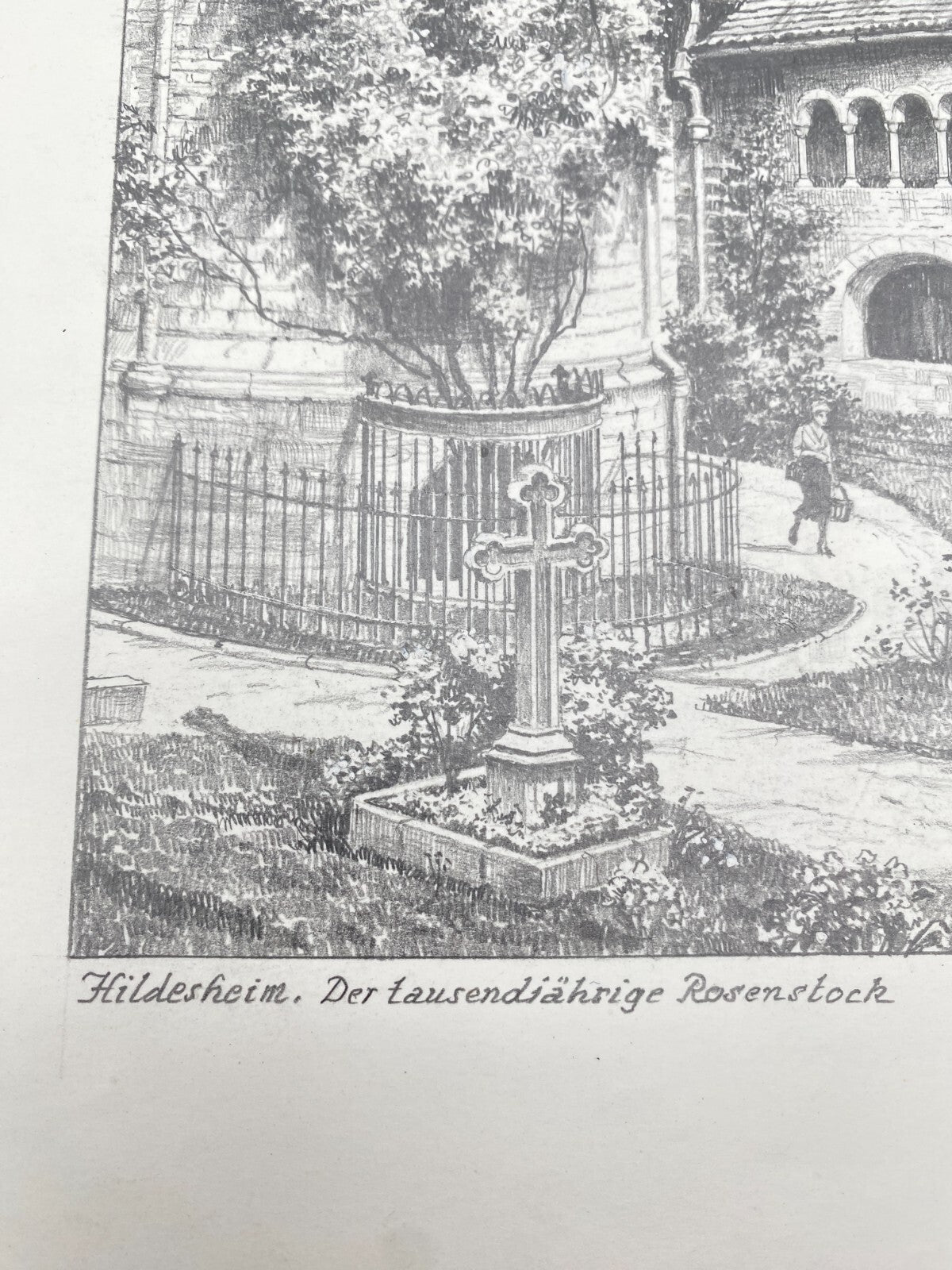 HEINZ WEHLISCH ZEICHNUNG HILDESHEIM TAUSENDJÄHRIGE ROSENSTOCK HANDSIGNIERT