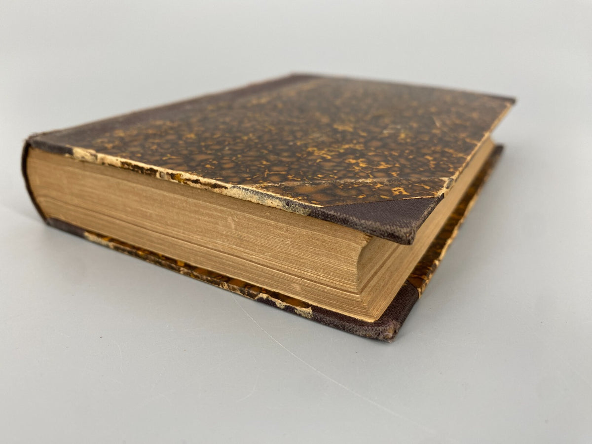 * BUCH VOLSUGA- UND RAGNARS-SAGA NEBST DER GESCHICHTE VON NORNAGEST 1880 STUTTGA