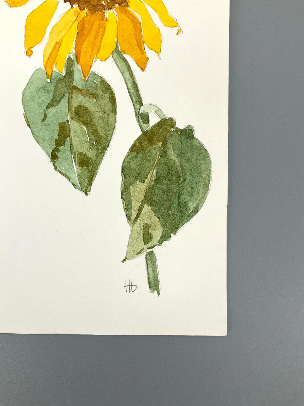 *5x GEMÄLDE AQUARELL HELENA GEESE WYSOCKI KLATSCHMOHNE SONNENBLUM