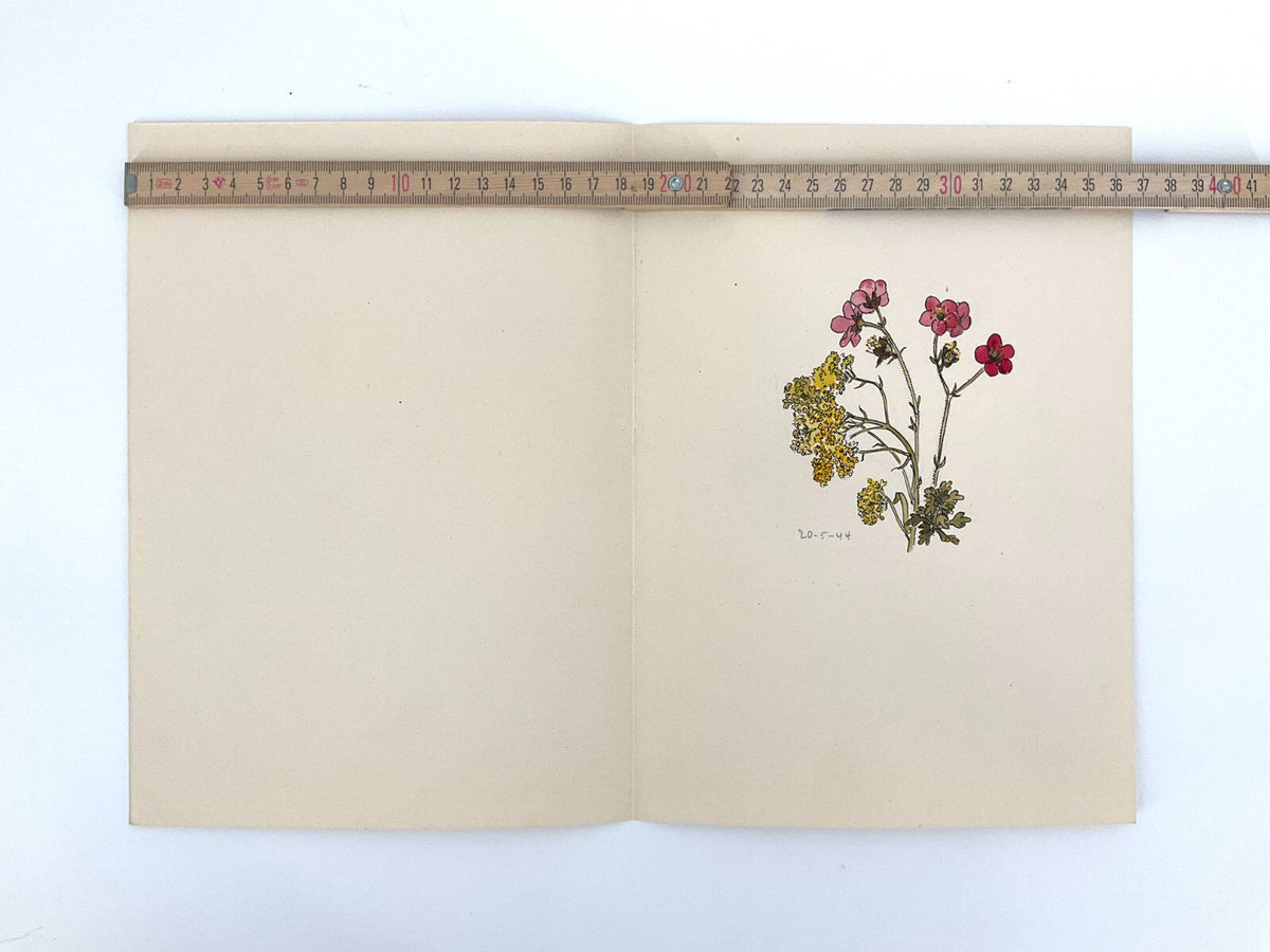 *6x GEMÄLDE HELENA GEESE WYSOCKI BLUMEN UNIKAT 1944 FRÜHLING SIGN