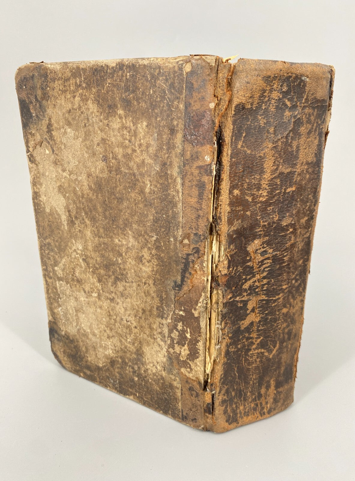 *BUCH LUTHERBIBEL 1847 NÜRNBERG CENTRAL-BIBEL-VEREIN BESITZEREINTRAG MILDENBURG