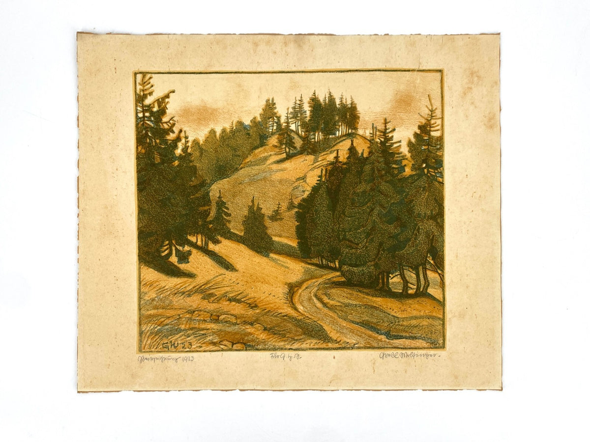 * GRAFIK LITHOGRAFIE GRETE MARGRET WOLFINGER NADELWALD FORSTWEG NADELBAUM 1923