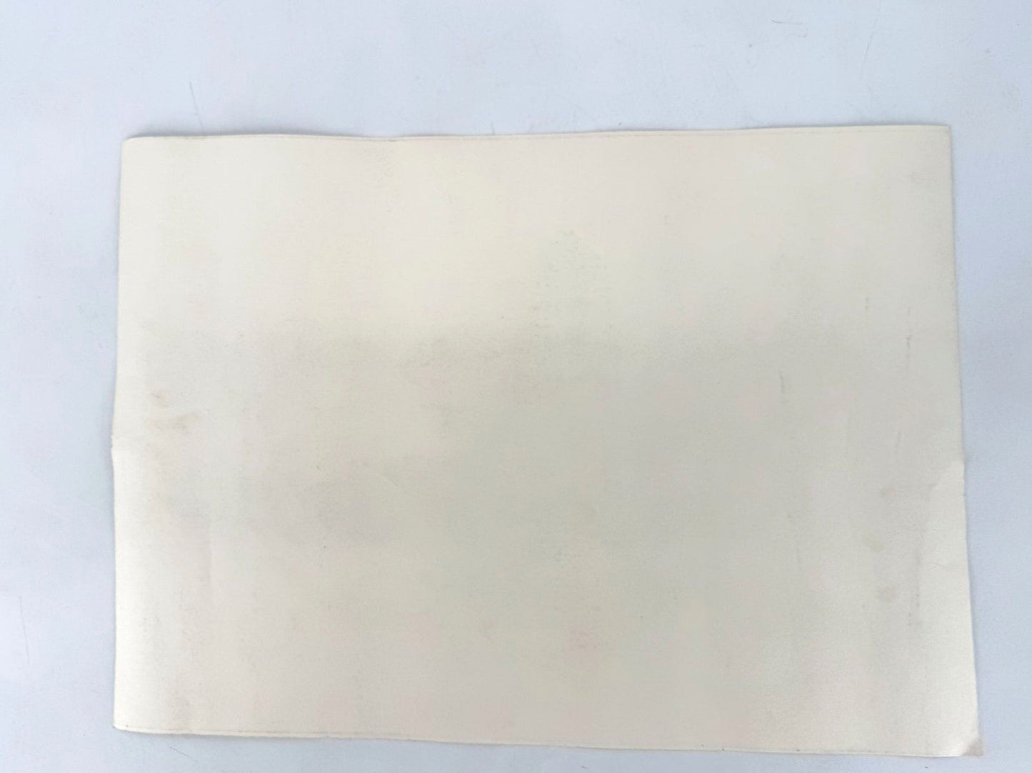 * GRAFIK DRUCKGRAFIK DETMOLD SCHLOSS OSTWESTFALEN WEHLISCH