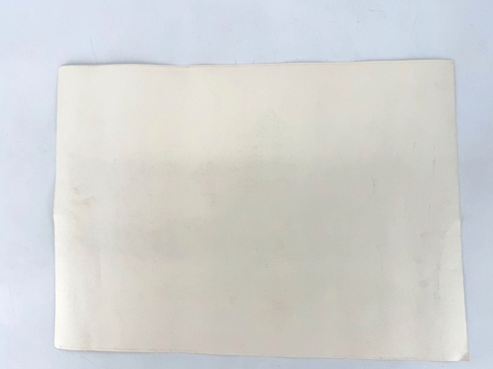* GRAFIK DRUCKGRAFIK DETMOLD SCHLOSS OSTWESTFALEN WEHLISCH