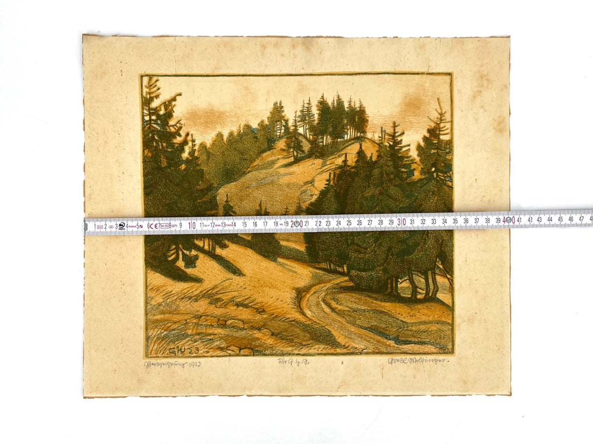 * GRAFIK LITHOGRAFIE GRETE MARGRET WOLFINGER NADELWALD FORSTWEG NADELBAUM 1923