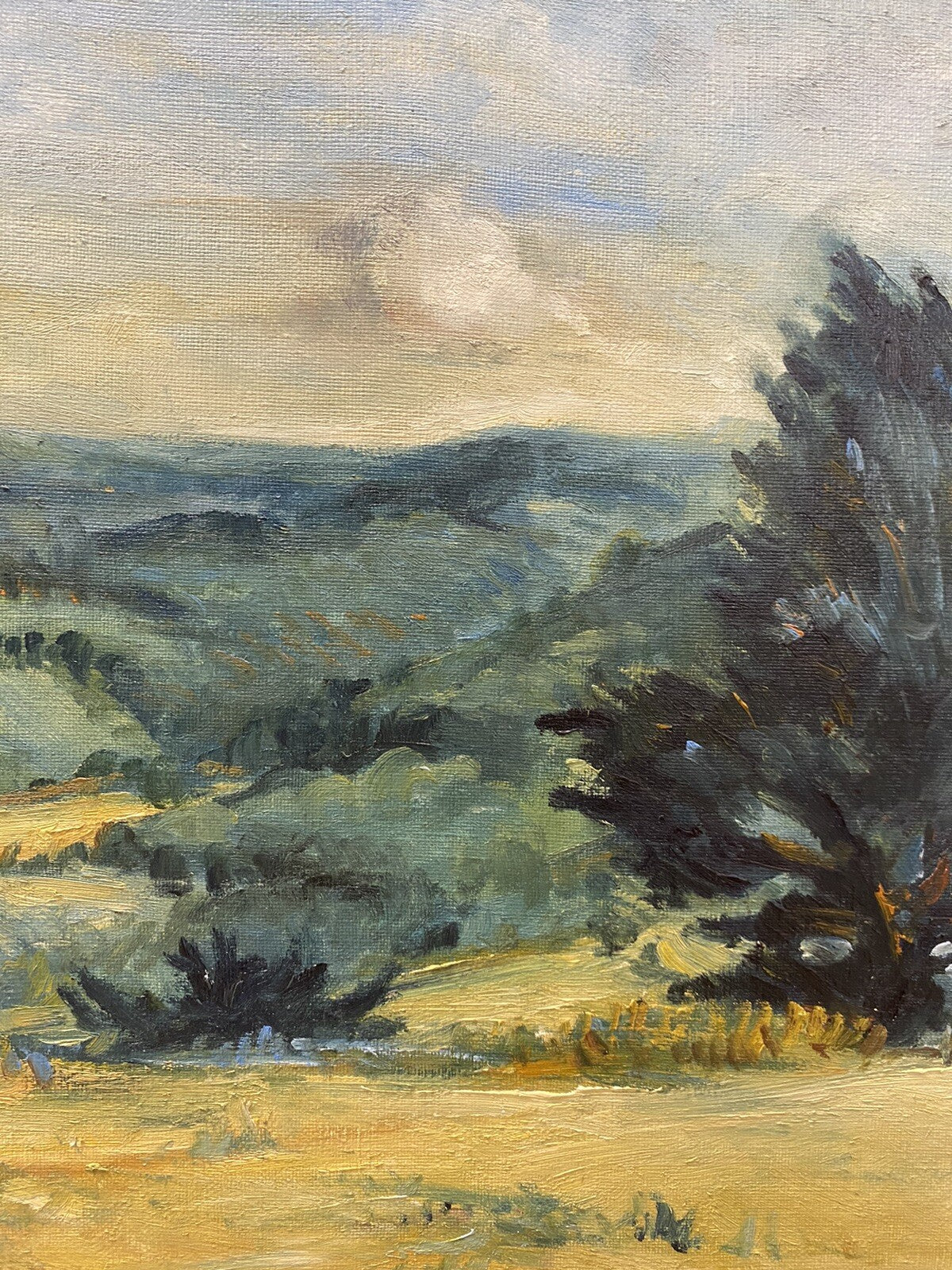 * ÖL GEMÄLDE PETER SCHMIDT SCHÖNBERG BERLINER KUNST BILD BAUM LANDSCHAFT RAHMEN