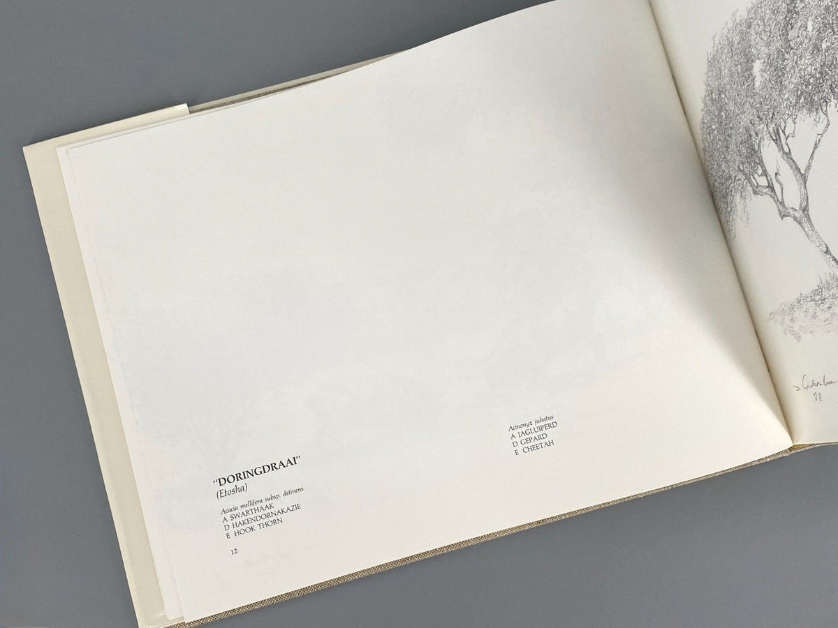 *BUCH DIETER ASCHENBORN NATURZEICHNUNGEN AFRIKA TIERE GAMSBERG