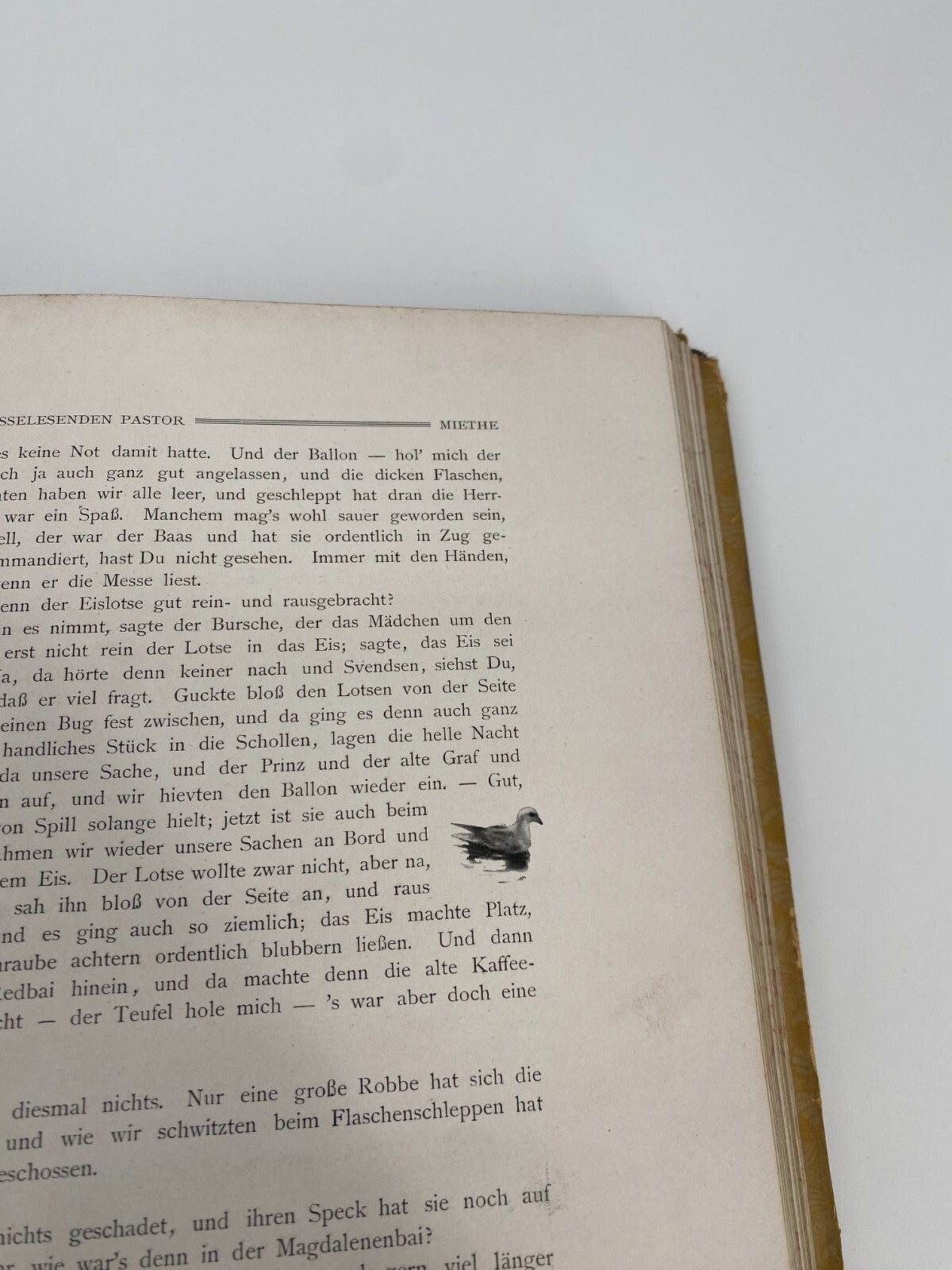 *MIT DEM ZEPPELIN NACH SPITZBERGEN ALTES BUCH 1911 INKLUSIVE FARBFOTOS UND KARTE