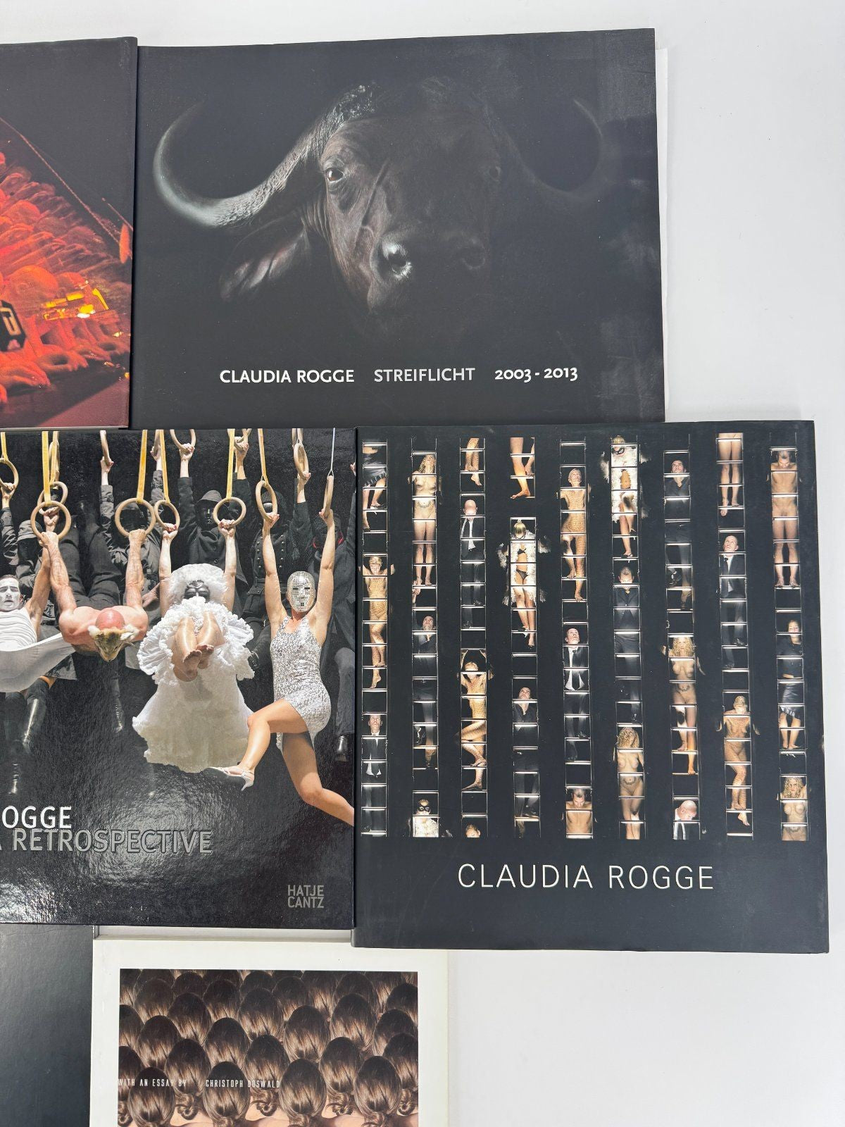 8 x CLAUDIA ROGGE BÜCHER RETROSPECTIVE MO BIL 1&2 EVERAFTER