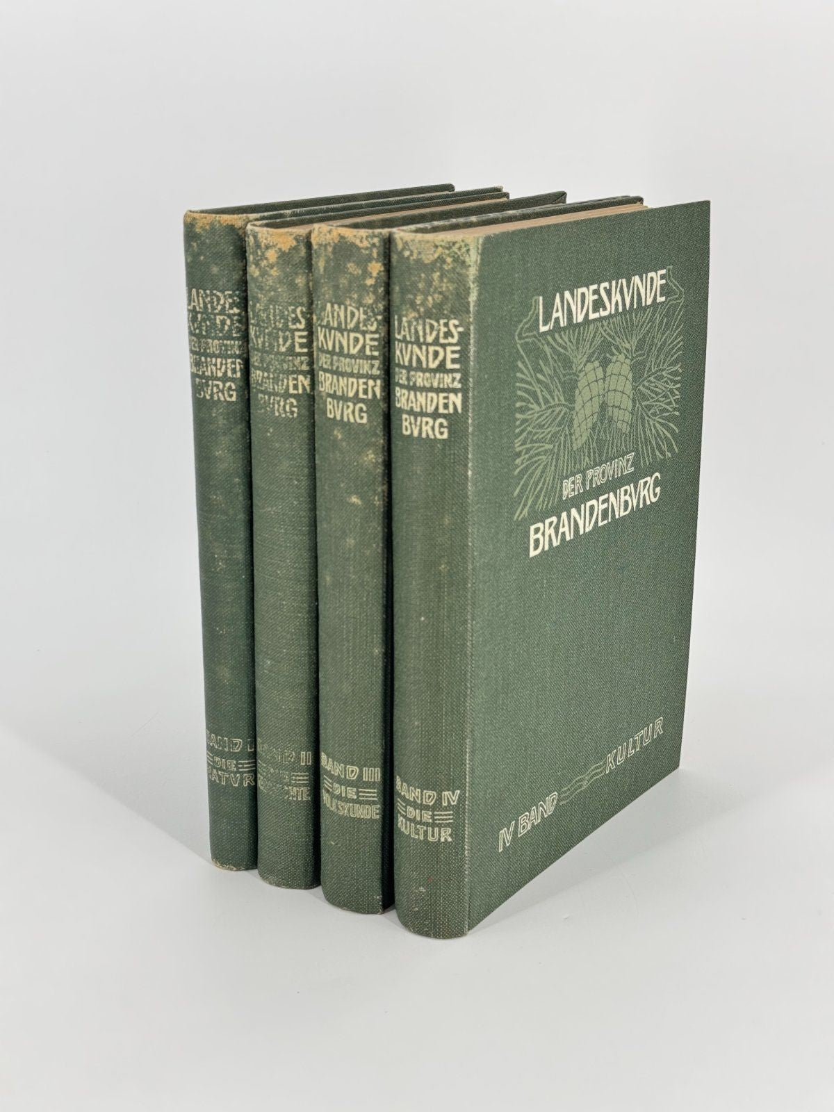 4X BÜCHER LANDESKUNDE DER PROVINZ BRANDENBURG BAND 1 BIS 4 1916