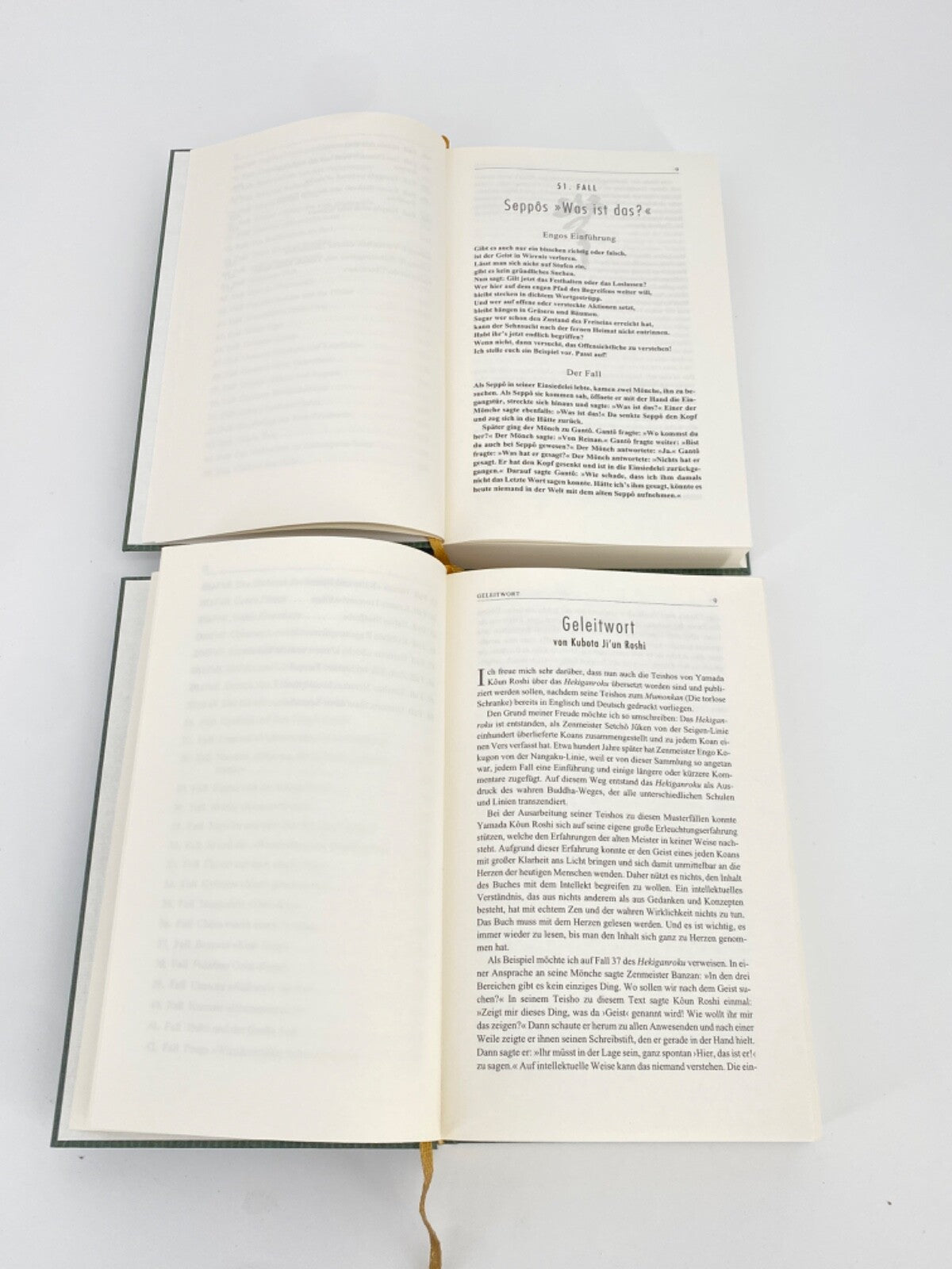 * BUCH HEKIGANROKU DIE NIEDERSCHRIFT VOM BLAUEN FELD KOUN ROSHI YAMADA KOAN