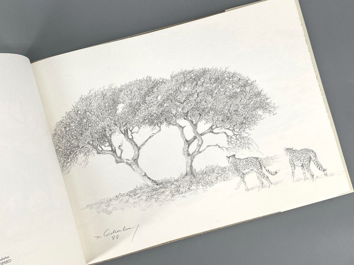 *BUCH DIETER ASCHENBORN NATURZEICHNUNGEN AFRIKA TIERE GAMSBERG