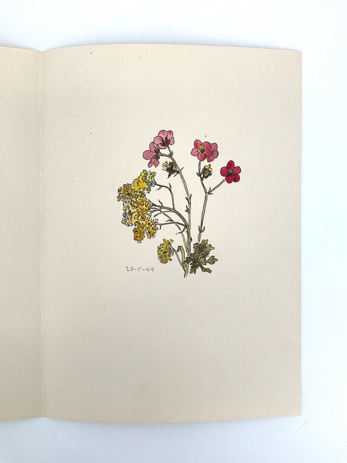 *6x GEMÄLDE HELENA GEESE WYSOCKI BLUMEN UNIKAT 1944 FRÜHLING SIGN