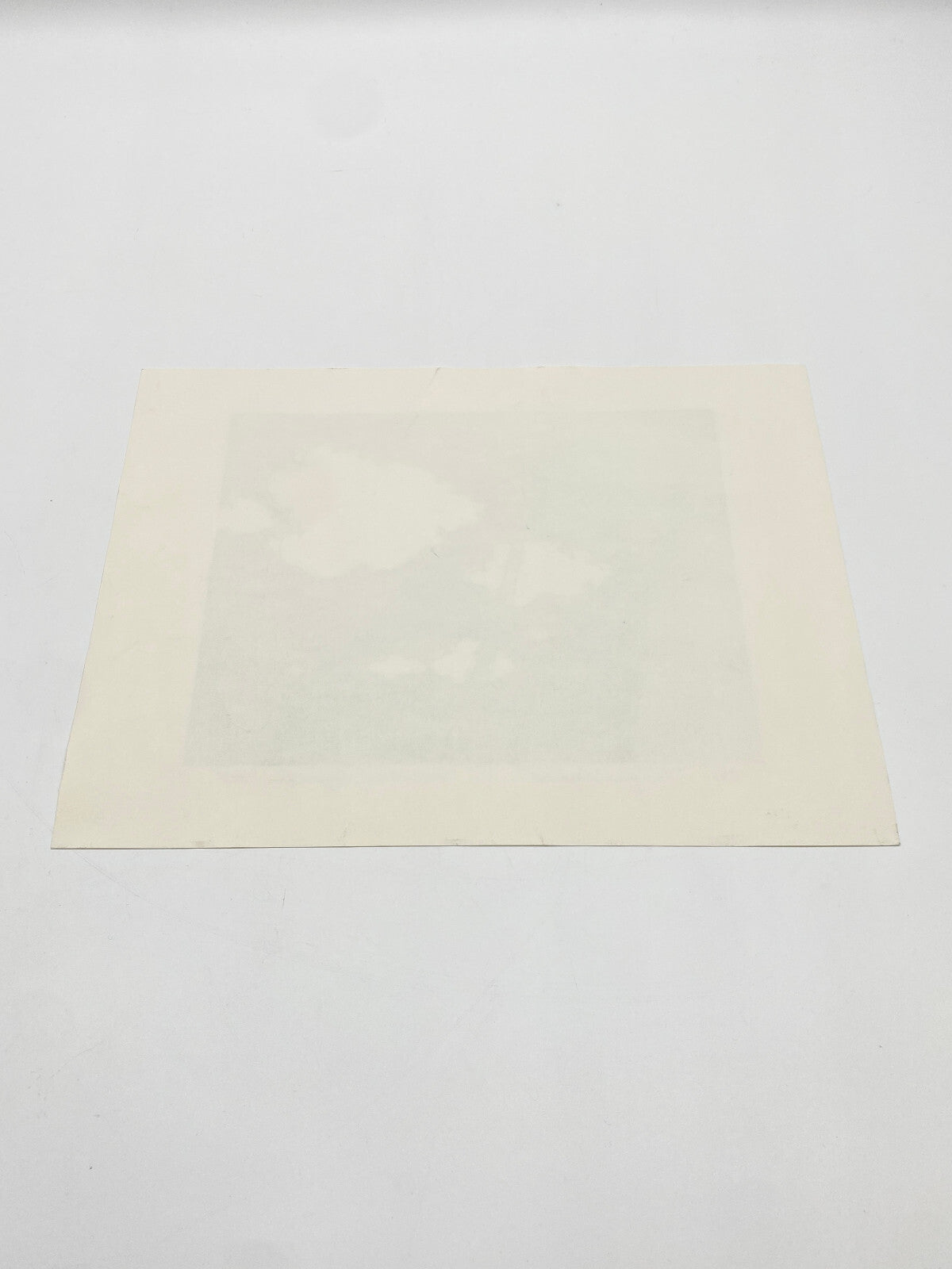 * IM GRAS LIEGEND DRUCK GRAFIK BILD P. MATTHIAS ZÄNGERLEIN 2007 LIMITIERT