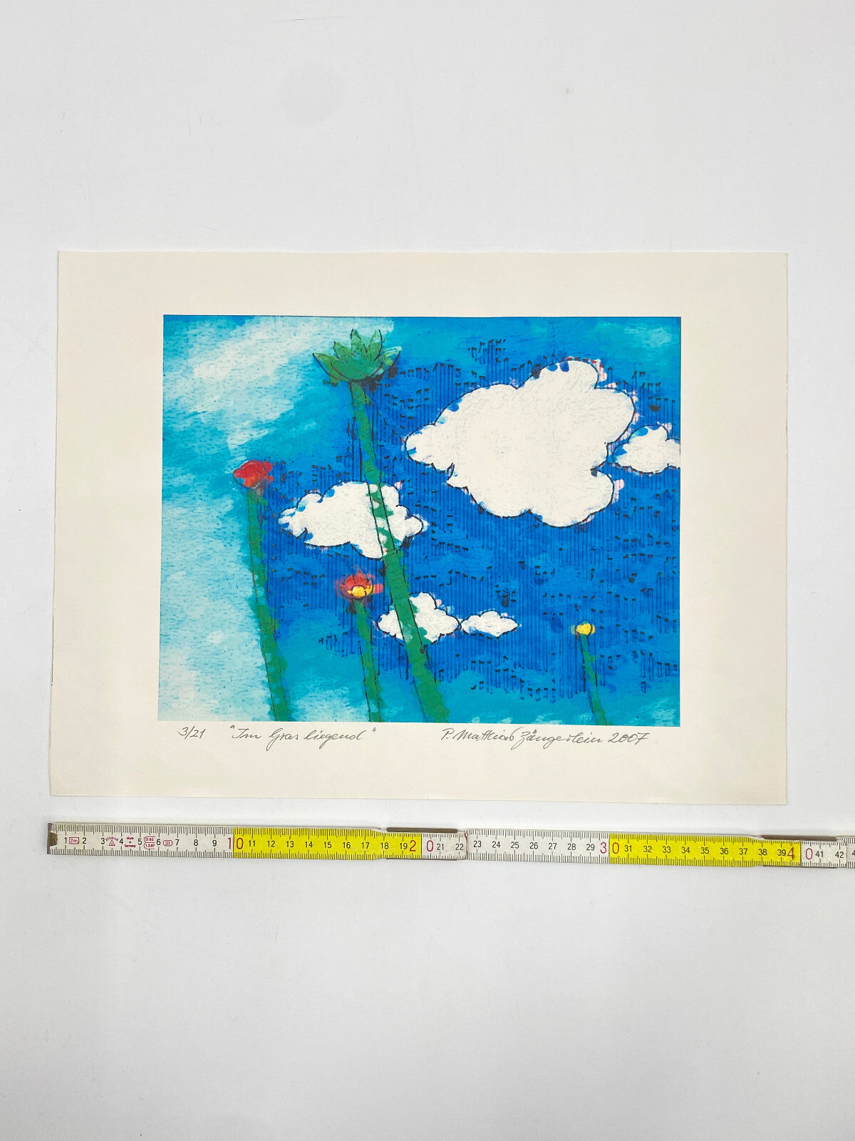 * IM GRAS LIEGEND DRUCK GRAFIK BILD P. MATTHIAS ZÄNGERLEIN 2007 LIMITIERT