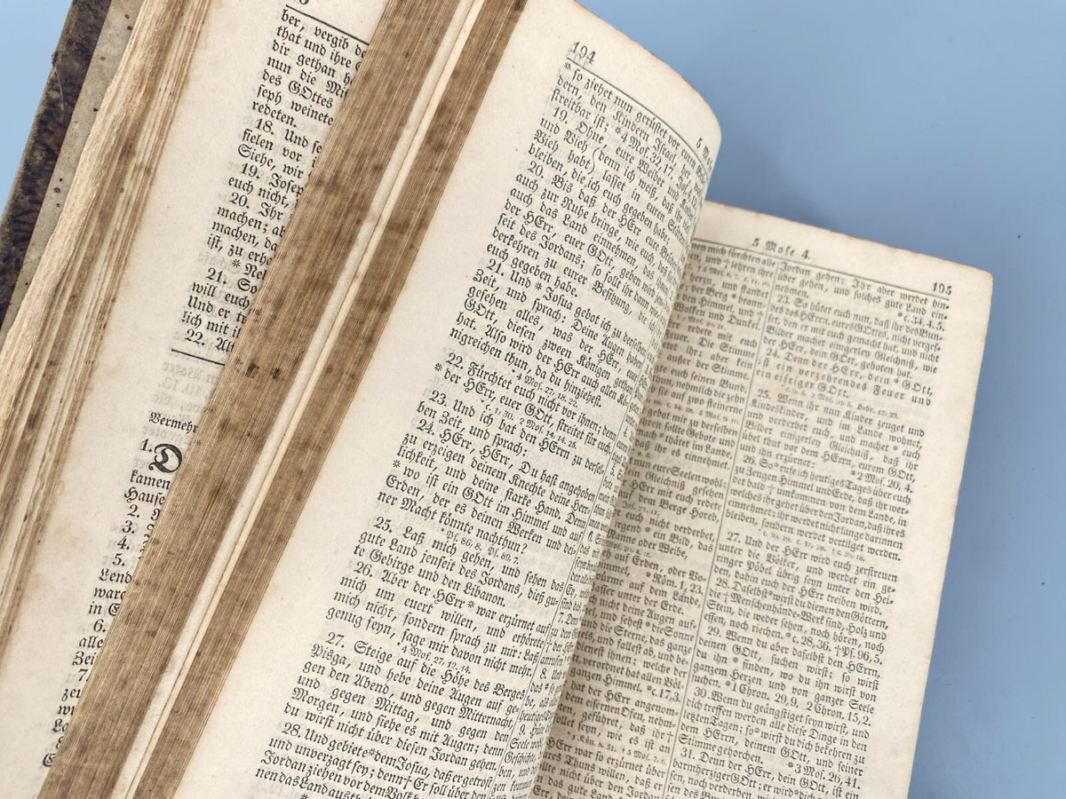 *BUCH LUTHERBIBEL 1847 NÜRNBERG CENTRAL-BIBEL-VEREIN BESITZEREINTRAG MILDENBURG