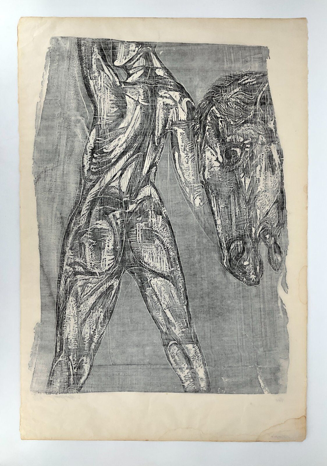 *GRAFIK HOLZSCHNITT OLYMPIA PFERD AKT ERNST WOLFHAGEN 1959 XXL