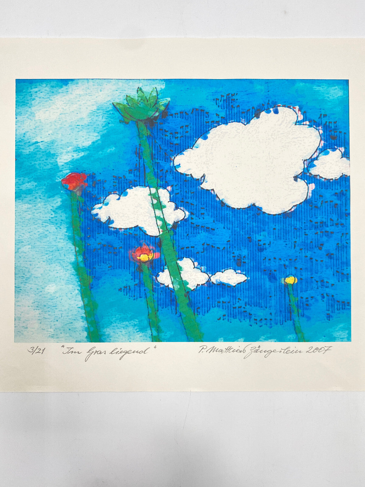 * IM GRAS LIEGEND DRUCK GRAFIK BILD P. MATTHIAS ZÄNGERLEIN 2007 LIMITIERT