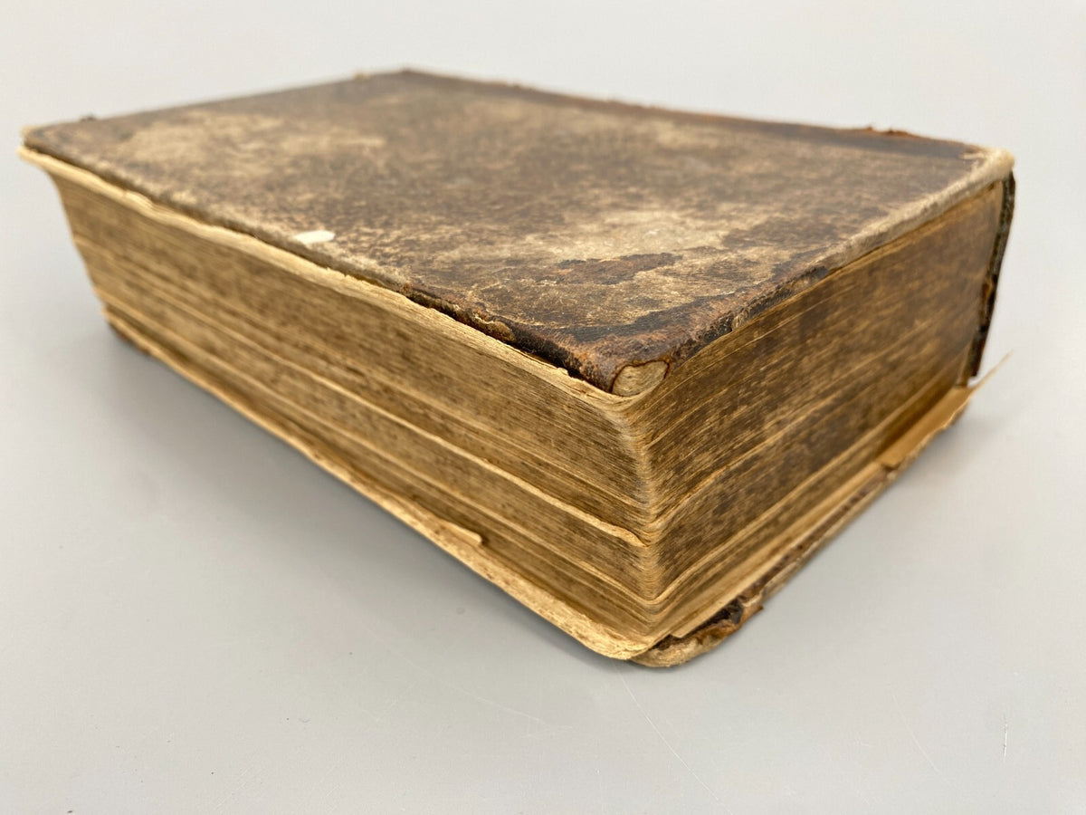 *BUCH LUTHERBIBEL 1847 NÜRNBERG CENTRAL-BIBEL-VEREIN BESITZEREINTRAG MILDENBURG