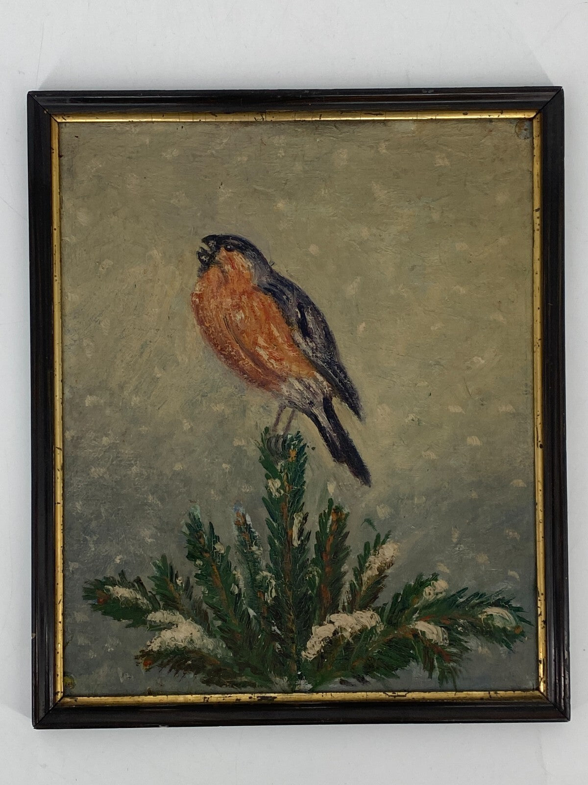 *ÖLGEMÄLDE BUCHFINK SINGVOGEL TANNENAST VOGELPORTRÄT GERAHMT NAIVE MALEREI