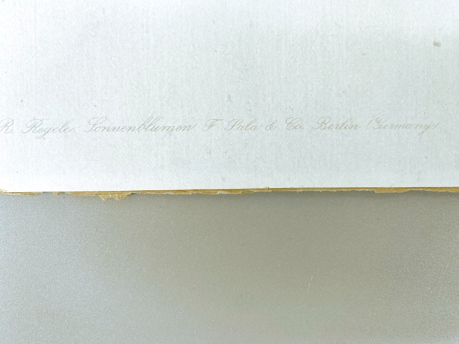 * GRAFIK OFFSET POSTER SONNENBLUMEN VASE STILLEBEN ROLF REGELE