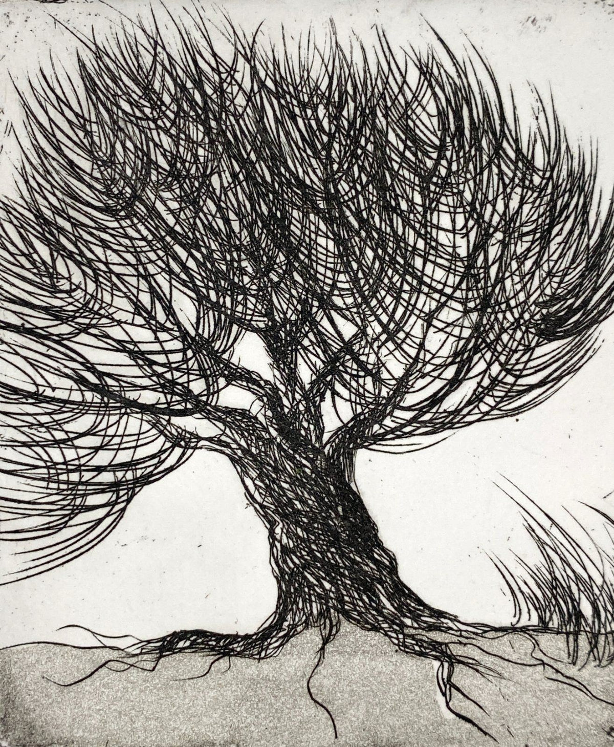 *DRUCKGRAFIK RADIERUNG KIRSTI BREHME BAUM 1998 FINNISCH LIMITIERT