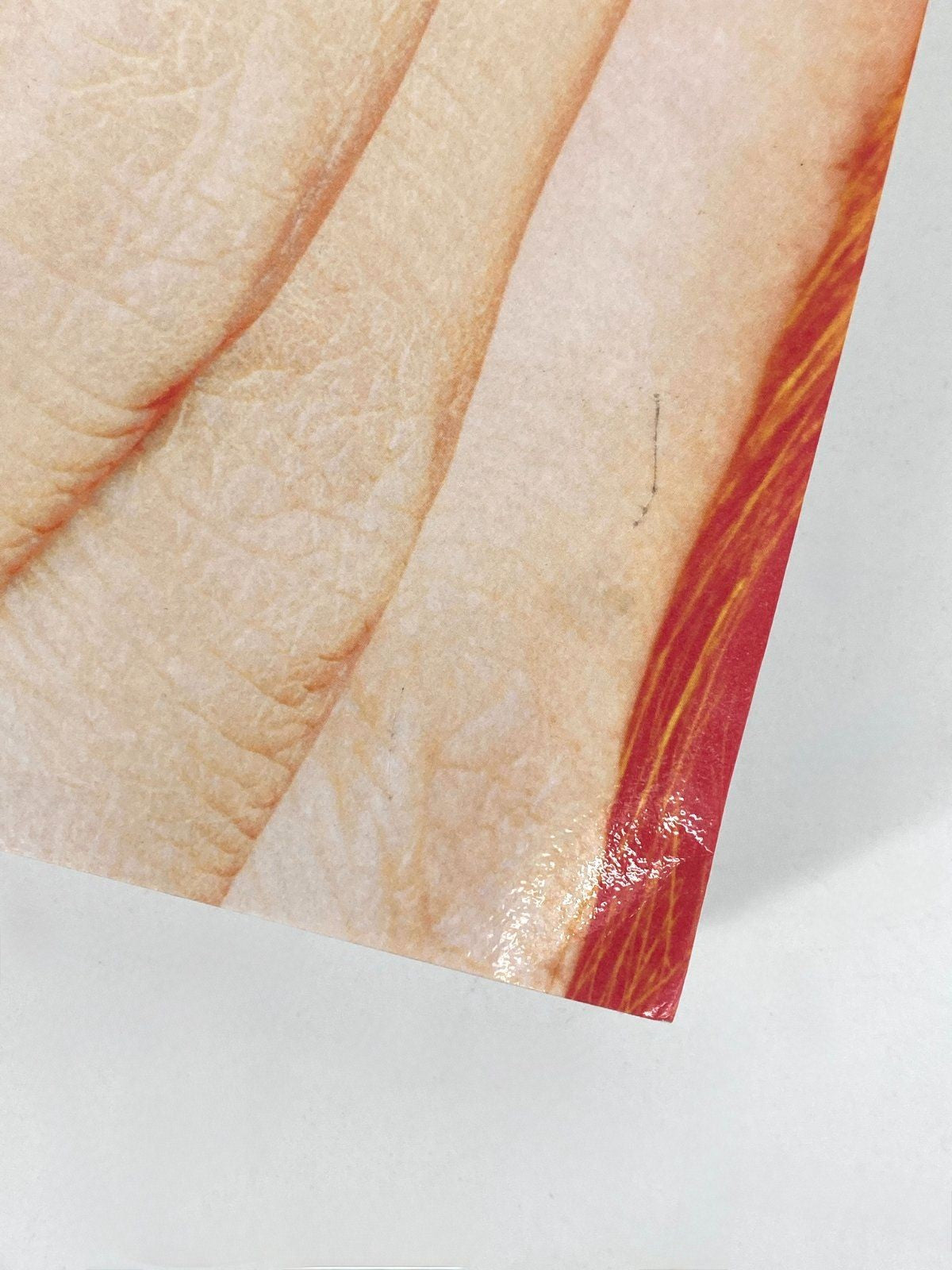 *BUCH MARIO TESTINO IN YOUR FACE TASCHEN 2012/2015 FOTOBAND