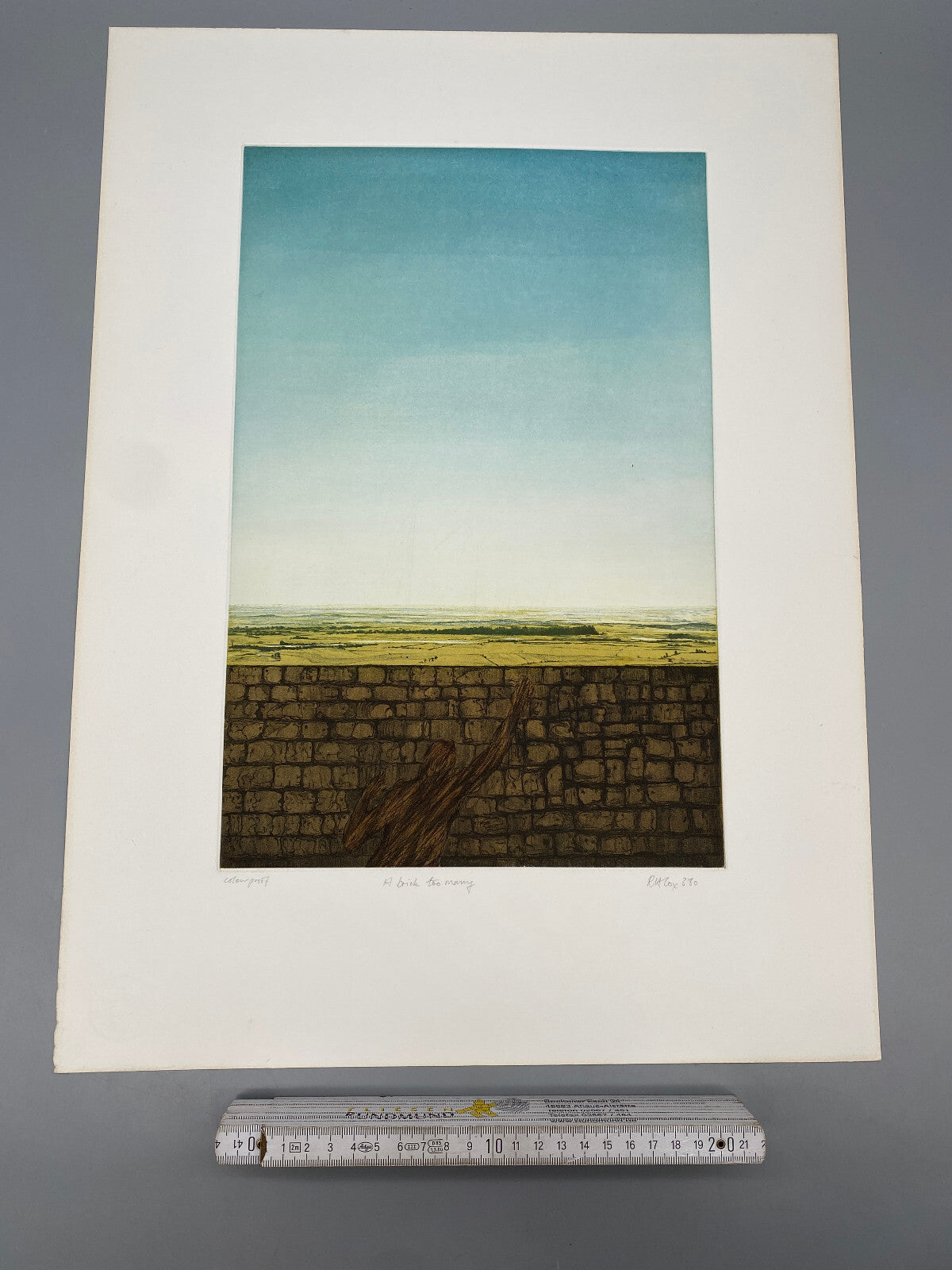 DRUCKGRAFIK FARBRADIERUNG RICHARD A. COX A BRICK TOO MANY 1980 SIGNIERT