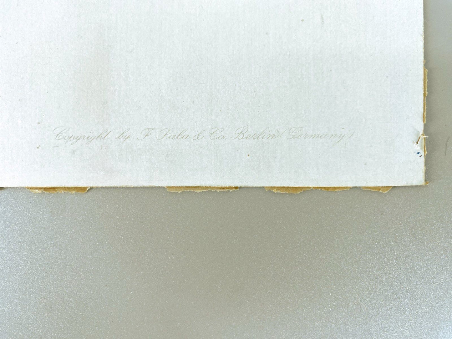 * GRAFIK OFFSET POSTER SONNENBLUMEN VASE STILLEBEN ROLF REGELE
