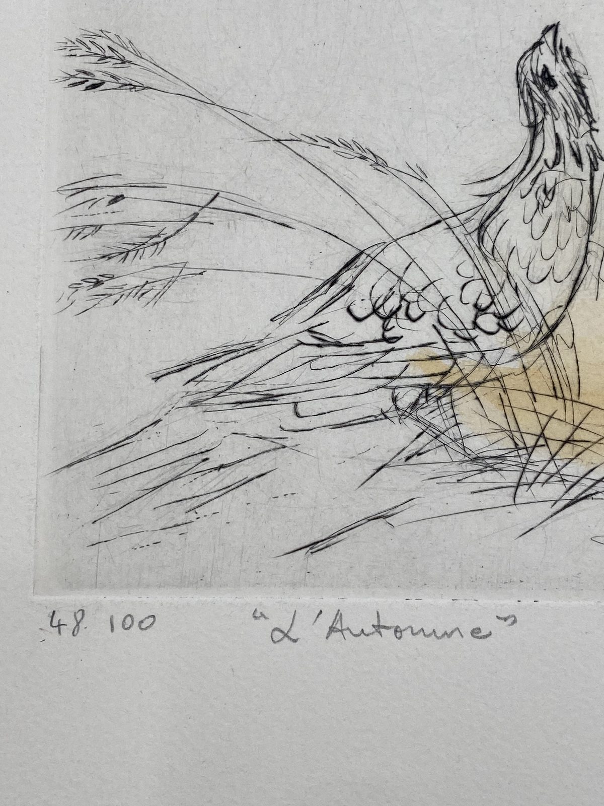 * DRUCK AMANDINE DORE L'ANTONINE LITHOGRAFIE HANDKOLORIERT PARIS EROTIK