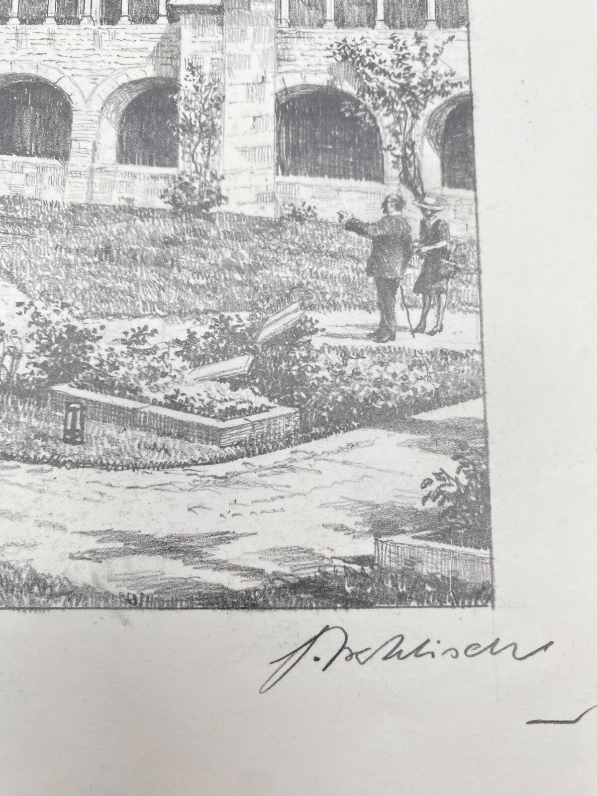 HEINZ WEHLISCH ZEICHNUNG HILDESHEIM TAUSENDJÄHRIGE ROSENSTOCK HANDSIGNIERT