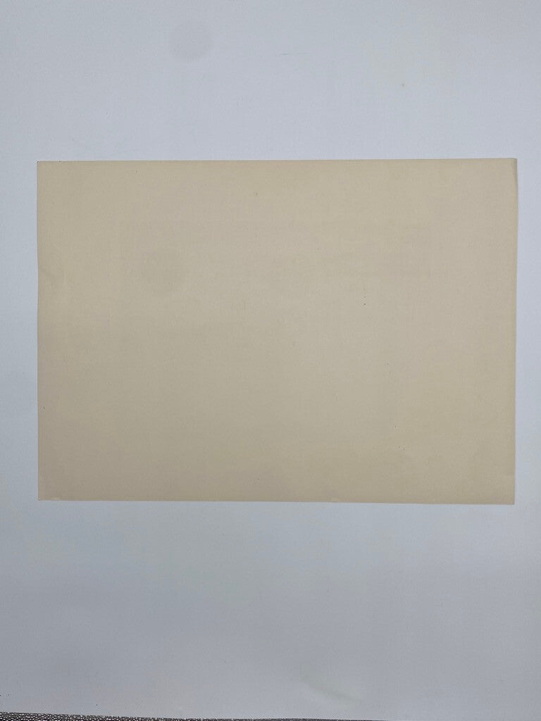 * KUNSTDRUCK ZEICHNUNG STILLEBEN ABSTRAKT VANITAS ROT GRÜN DRUCK PROBE SIGNIERT