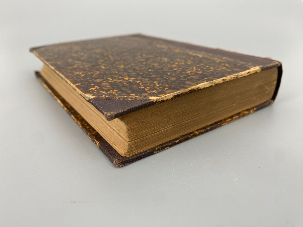 * BUCH VOLSUGA- UND RAGNARS-SAGA NEBST DER GESCHICHTE VON NORNAGEST 1880 STUTTGA