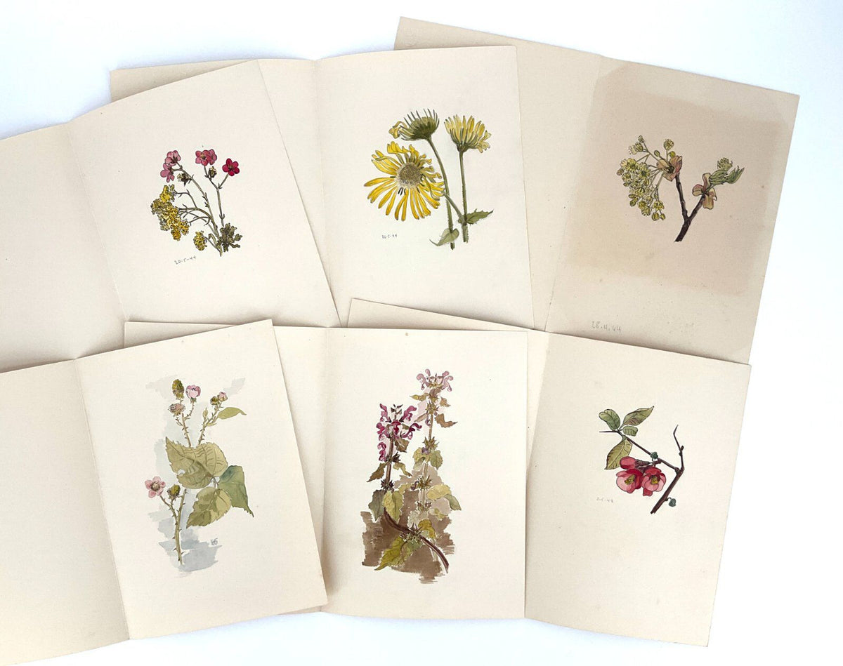 *6x GEMÄLDE HELENA GEESE WYSOCKI BLUMEN UNIKAT 1944 FRÜHLING SIGN