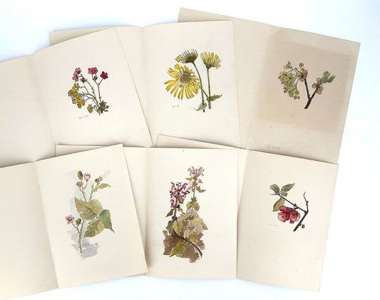 *6x GEMÄLDE HELENA GEESE WYSOCKI BLUMEN UNIKAT 1944 FRÜHLING SIGN