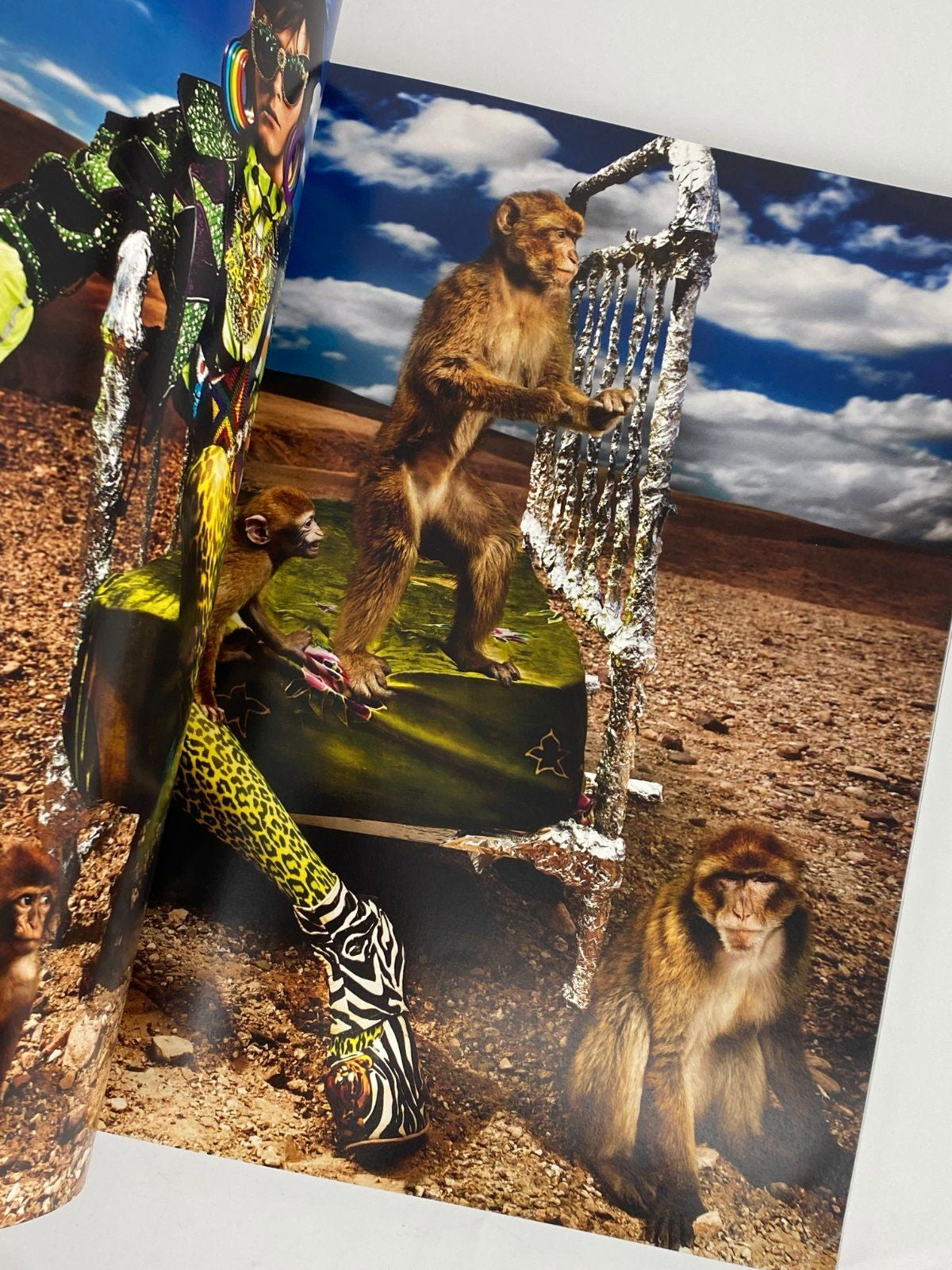 *BUCH MARIO TESTINO IN YOUR FACE TASCHEN 2012/2015 FOTOBAND
