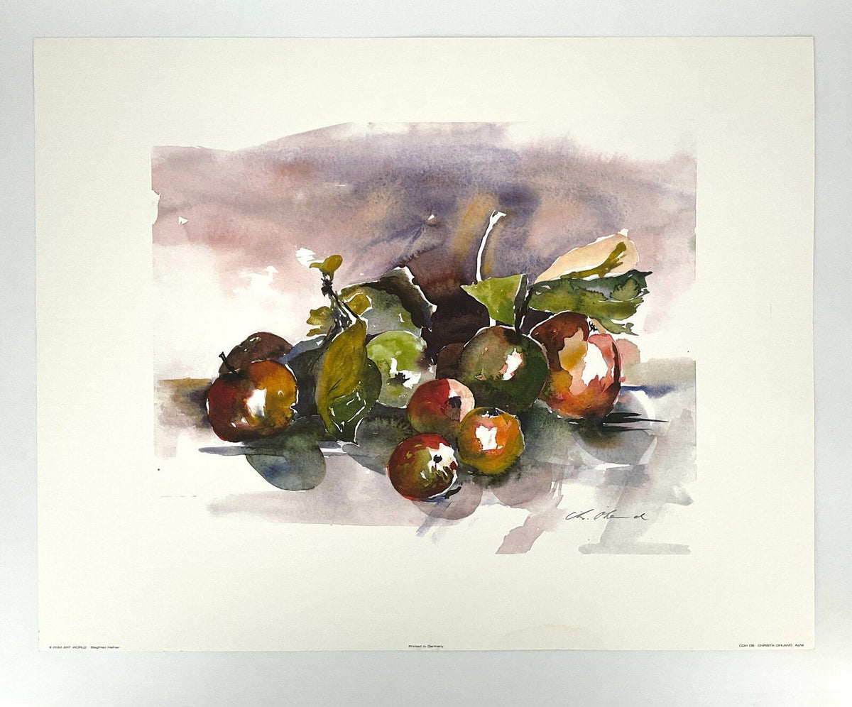 *KUNSTDRUCK ÄPFEL CHRISTA OHLAND STILLEBEN AQUARELL BAYERN MÜNCHEN BÜTTENPAPIER