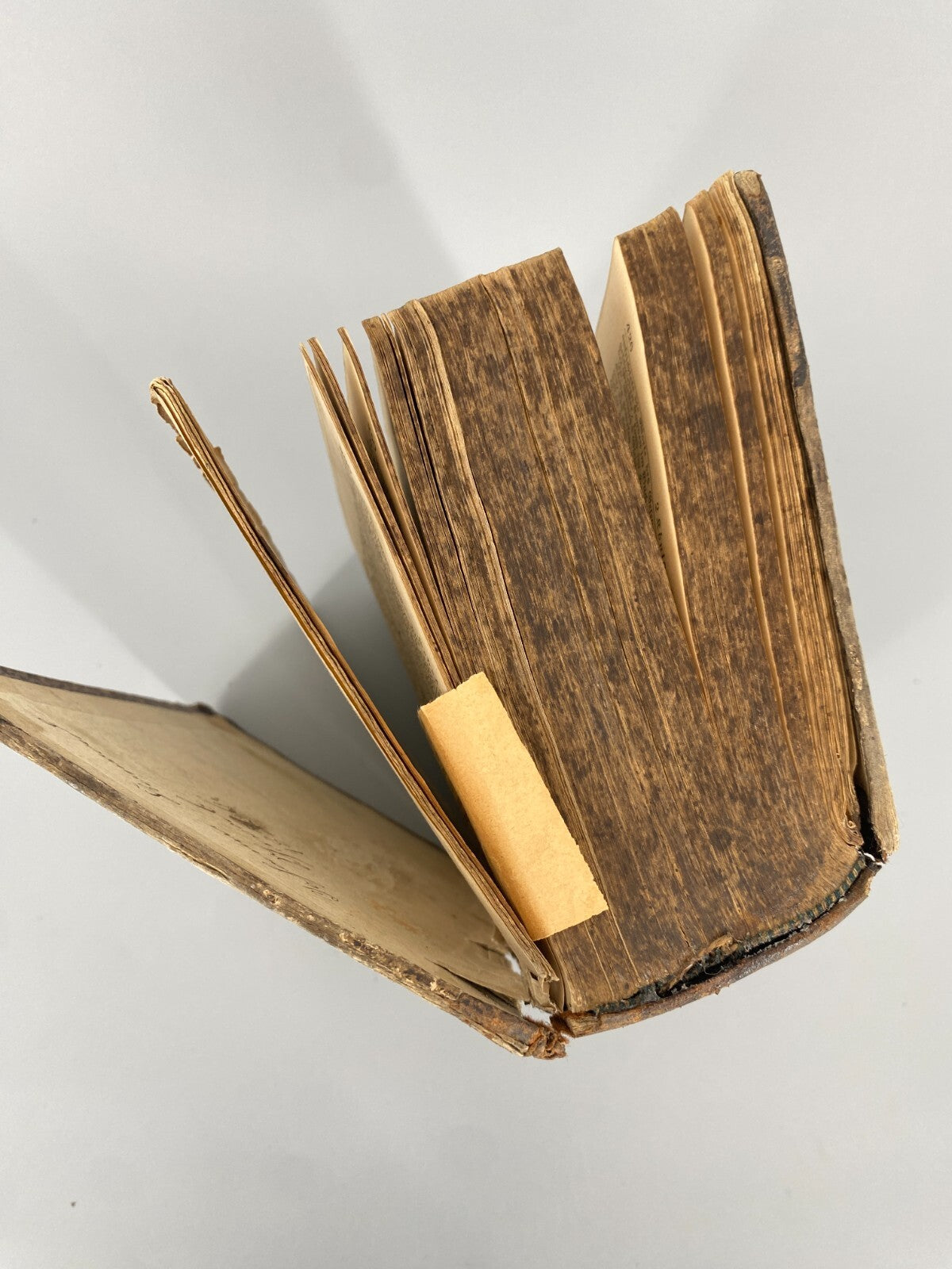 *BUCH LUTHERBIBEL 1847 NÜRNBERG CENTRAL-BIBEL-VEREIN BESITZEREINTRAG MILDENBURG