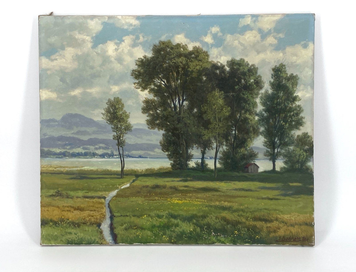 *ÖLGEMÄLDE EDWIN BACHMANN ZÜRICHSEE BEI LACHEN LANDSCHAFT SCHWEIZ