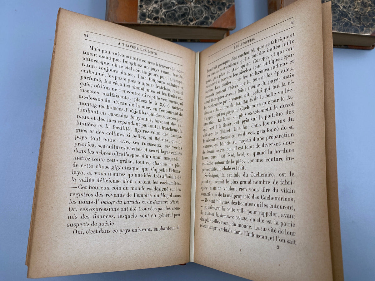 * 3x ANTIK BUCH CHARLES ROZAN 1887 TERME DE LA VIE CONVERSATION LES MOTS: