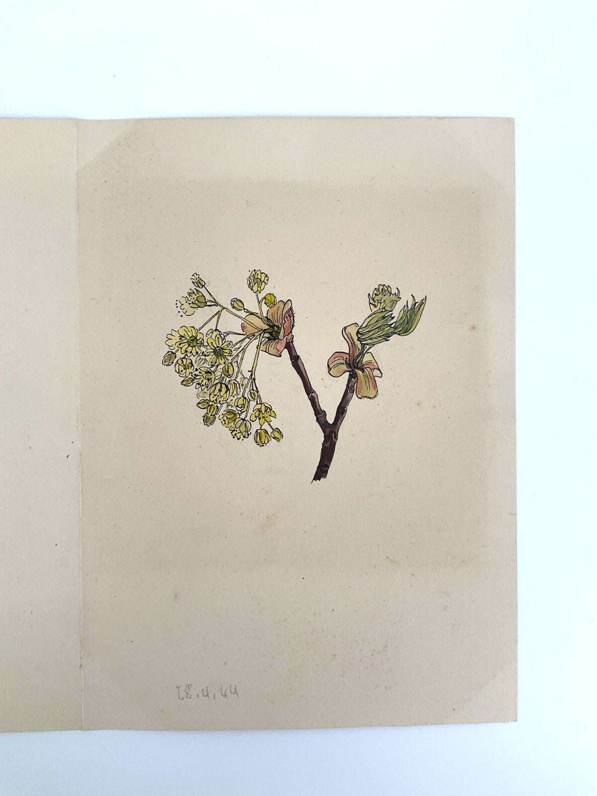 *6x GEMÄLDE HELENA GEESE WYSOCKI BLUMEN UNIKAT 1944 FRÜHLING SIGN