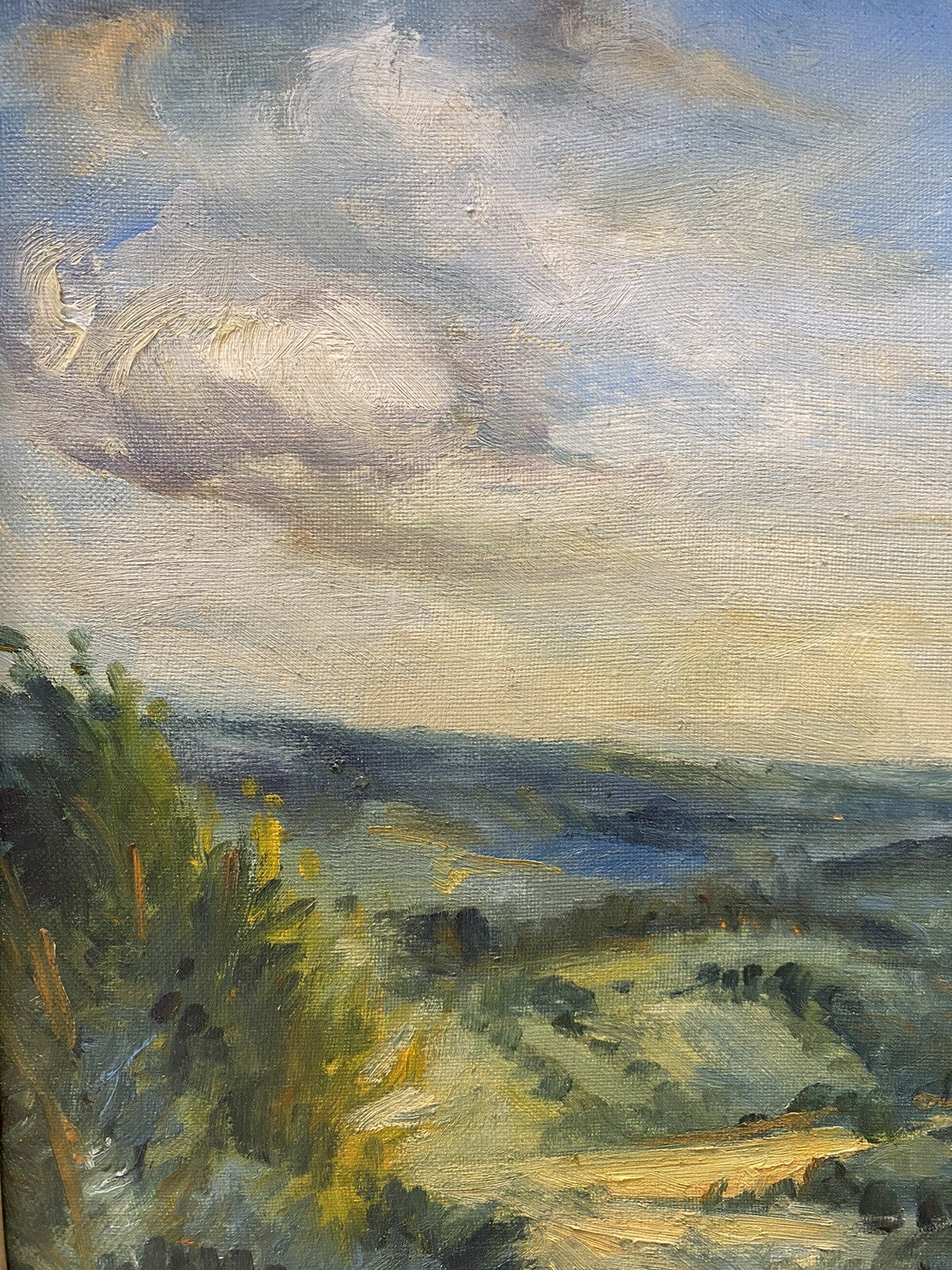 * ÖL GEMÄLDE PETER SCHMIDT SCHÖNBERG BERLINER KUNST BILD BAUM LANDSCHAFT RAHMEN