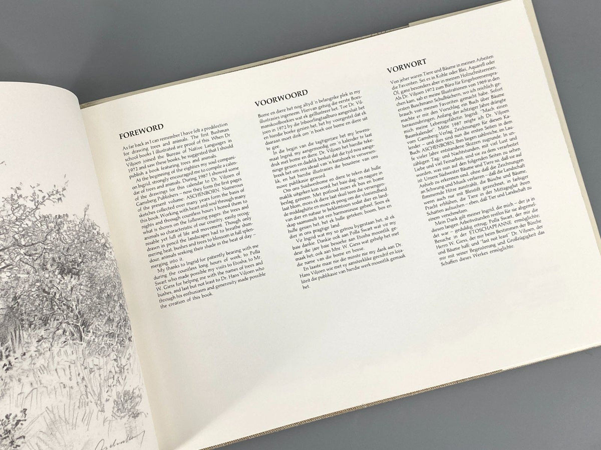 *BUCH DIETER ASCHENBORN NATURZEICHNUNGEN AFRIKA TIERE GAMSBERG