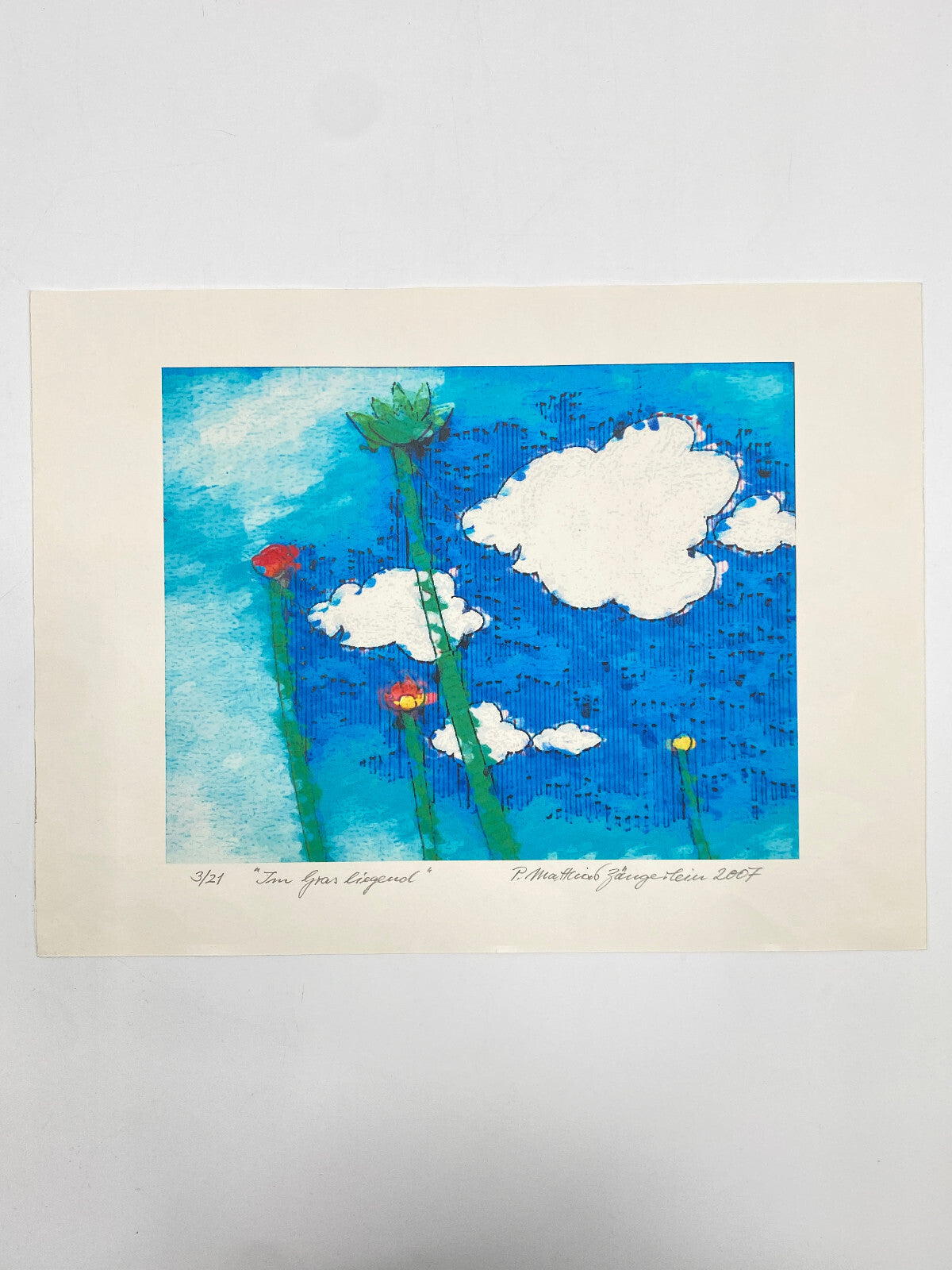 * IM GRAS LIEGEND DRUCK GRAFIK BILD P. MATTHIAS ZÄNGERLEIN 2007 LIMITIERT