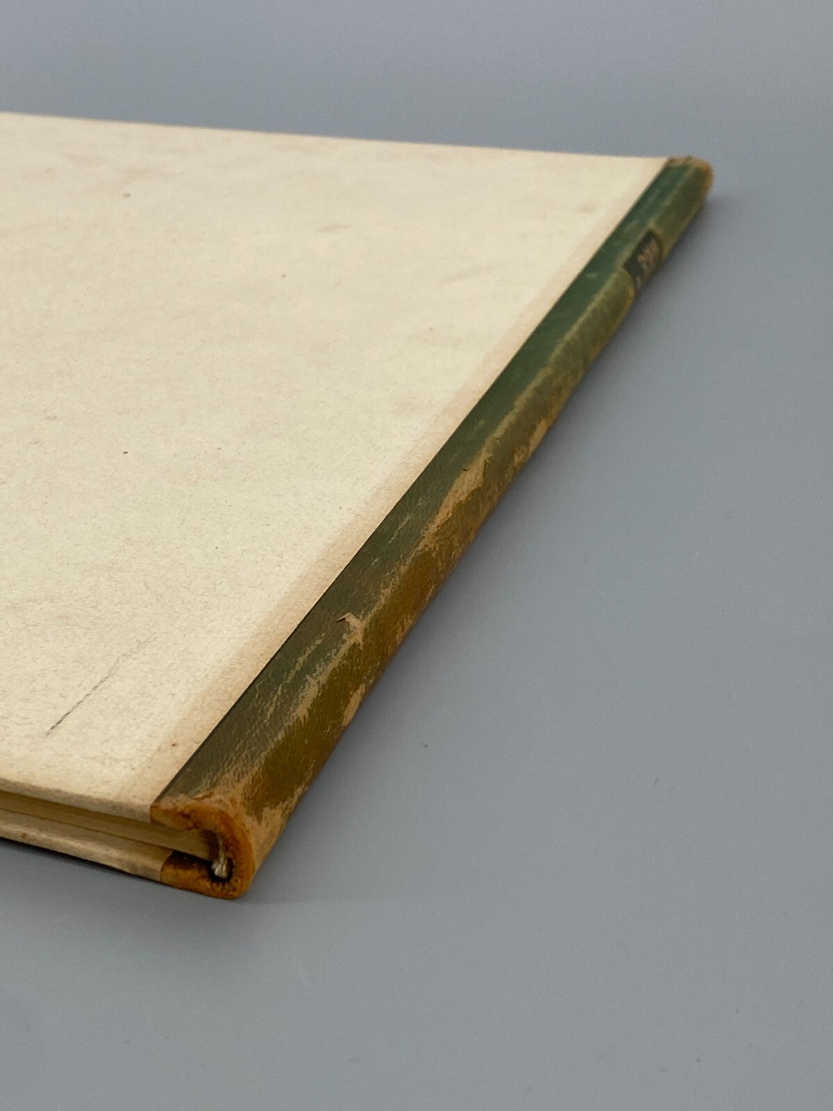 * DAS BUCH HIOB ORIGINAL LITHOGRAPHIEN WILLI JAECKEL 1917 NUMMERIERT 167