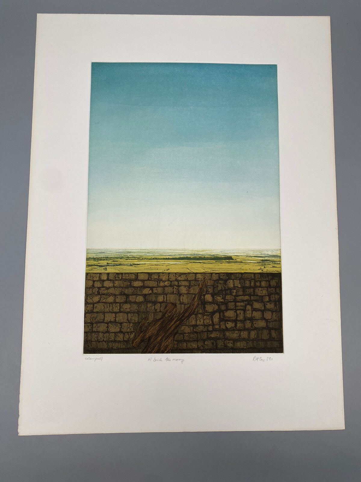 DRUCKGRAFIK FARBRADIERUNG RICHARD A. COX A BRICK TOO MANY 1980 SIGNIERT