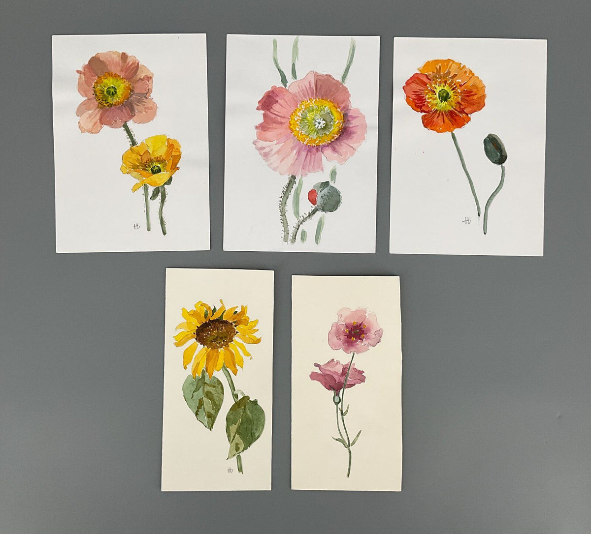 *5x GEMÄLDE AQUARELL HELENA GEESE WYSOCKI KLATSCHMOHNE SONNENBLUM