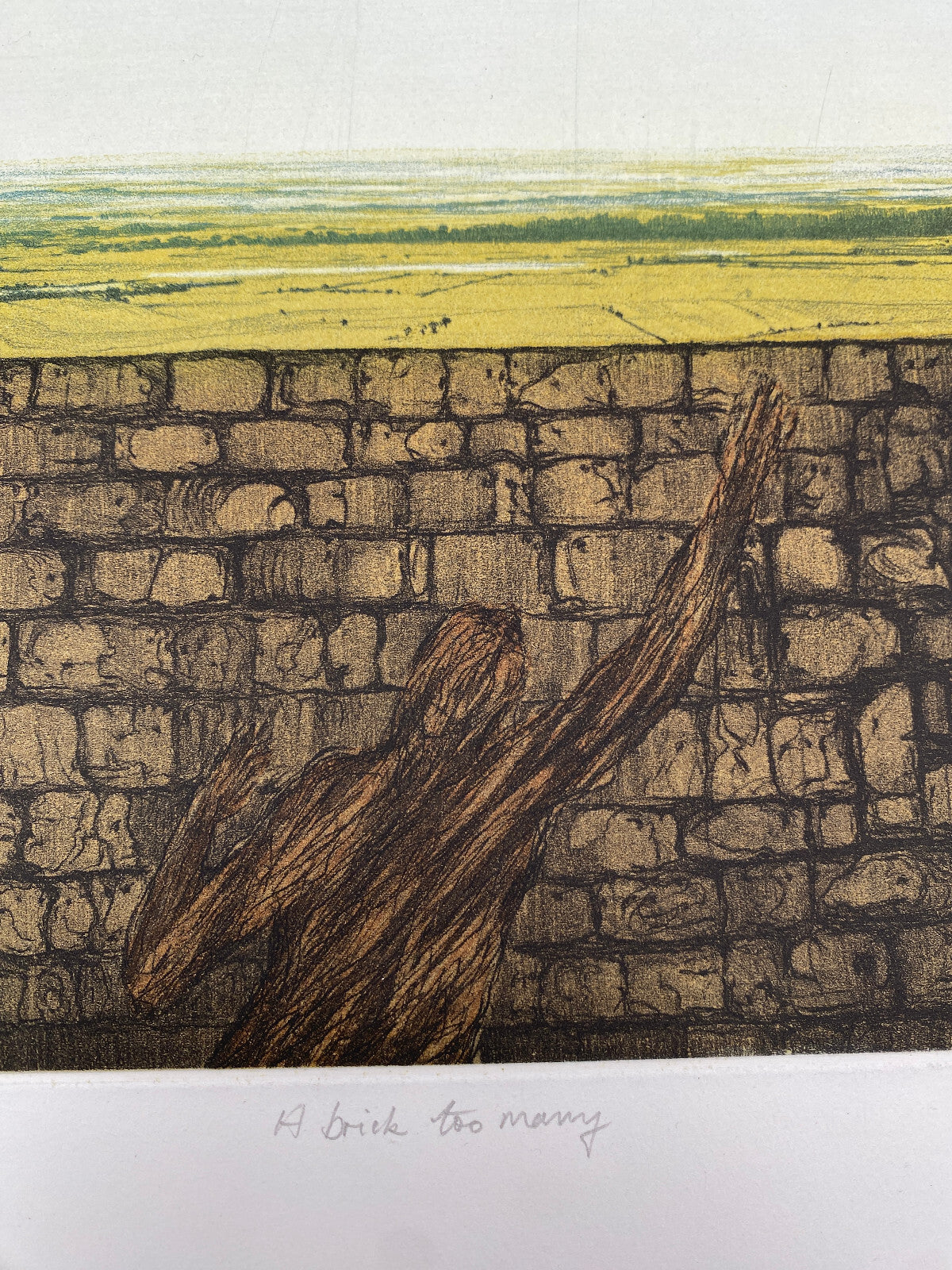 DRUCKGRAFIK FARBRADIERUNG RICHARD A. COX A BRICK TOO MANY 1980 SIGNIERT